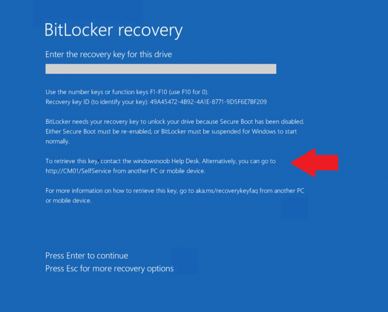 Learn about Bitlocker Management in Microsoft Endpoint Configuration ...